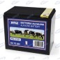 Pila alcalina per recinti elettrici 9V 120Ah 91993