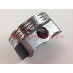Kolben mit Kolbenringen BRIGGS & STRATTON Rasentraktor Motor 792307 | NewgardenParts.com