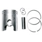 Kolben compatible WACHER 45 mm diameter piston