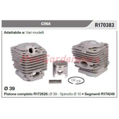CINA cylinder piston various models R170383 | NewgardenParts.com