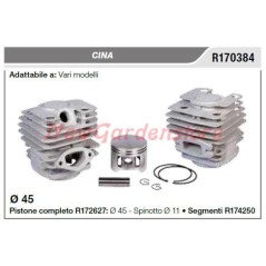 CINA cylinder piston various models R170384 | NewgardenParts.com