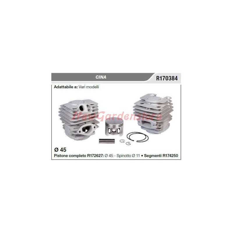 CINA piston cylindrique divers modèles R170384