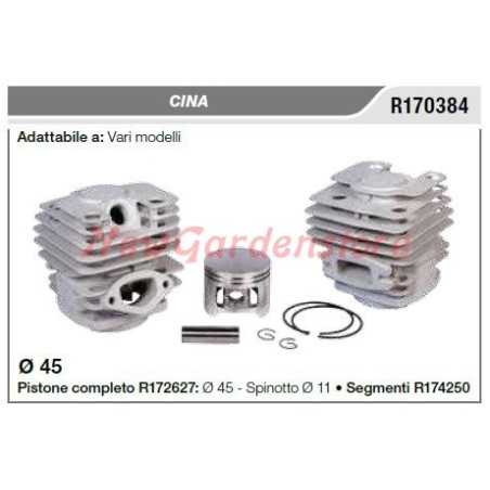 Pistone cilindro CINA vari modelli R170384 | NewgardenParts.com
