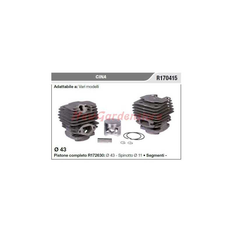 CINA cylinder piston various models R170415