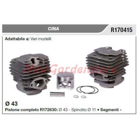 Pistone cilindro CINA vari modelli R170415 | NewgardenParts.com