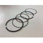 BRIGGS & STRATTON engine piston with piston rings 799063 68.20 mm original
