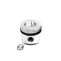 Pistón con segmentos STANDARD 75 mm motor DIESEL LOMBARDINI LDW702 LDW1003 1404 | NewgardenParts.com