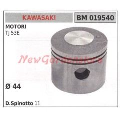 Pistone KAWASAKI tagliasiepe TJ 53E 019540 | NewgardenParts.com