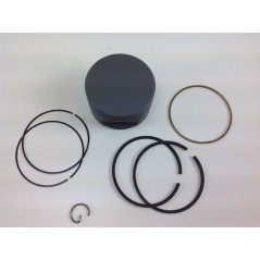 BRIGGS & STRATTON lawn mower engine piston Ø 68.3mm 020285 | NewgardenParts.com