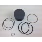 BRIGGS & STRATTON lawn mower engine piston Ø 68.3mm 020285