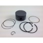 BRIGGS & STRATTON lawn mower engine piston Ø 68.3mm 020285