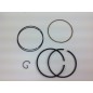 BRIGGS & STRATTON lawn mower engine piston Ø 68.3mm 020285