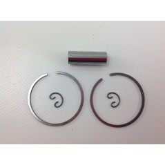 Piston for A40 A41 C40 chainsaw d. 40 mm GGP ALPINA CASTELGARDEN 8540020 | NewgardenParts.com