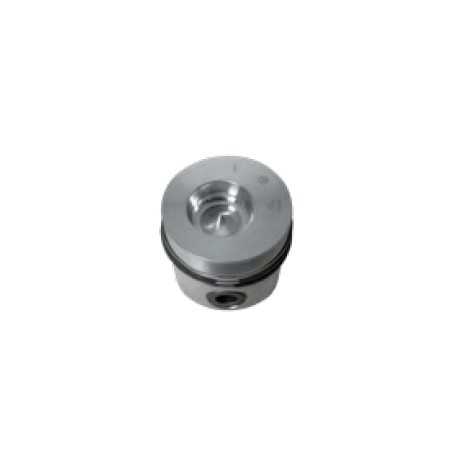 Pistone segmenti + 1,00 101 mm motore DIESEL LOMBARDINI 5LD824/3 | NewgardenParts.com