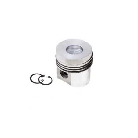 Piston rings + 1.00 96 mm engine DIESEL RUGGERINI RD270 RD278 130099P | NewgardenParts.com