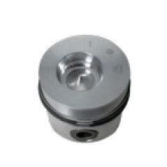 Pistone segmenti STANDARD 100 mm motore DIESEL LOMBARDINI 5LD824/3 | NewgardenParts.com