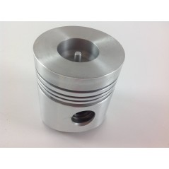 Pistón de segmento ESTÁNDAR 100 mm motor DIESEL LOMBARDINI LDA100 4LD705 130046P | NewgardenParts.com