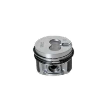 Kolbensegmente STANDARD 75 mm LOMBARDINI DIESELmotor LDW702 LDW702/P LDW1003 | NewgardenParts.com
