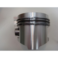 Segmentkolben + 1,00 79 mm DIESEL-Motor LOMBARDINI 15LD315 RUGGERINI RY70 | NewgardenParts.com