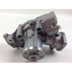 Engine water pump DAIHATSU TORO ORIGINAL BRIGGS & STRATTON 825265 | NewgardenParts.com