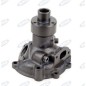 Pompe à eau pour tracteur agricole LAVERDA 41313045 10159TOP