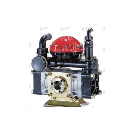 Pumpe AR 50 SP 2 Membranen zum Sprühen 34170 | NewgardenParts.com