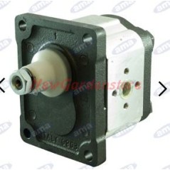 Pompa gruppo 2 tipo cilindrata 11.2 dx AMA 17007 | NewgardenParts.com
