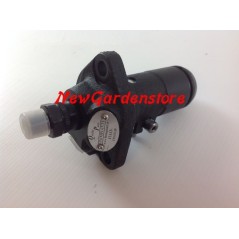Motor cultivator injection pump compatible LOMBARDINI LDA450 LDA100 FIN033JP | NewgardenParts.com