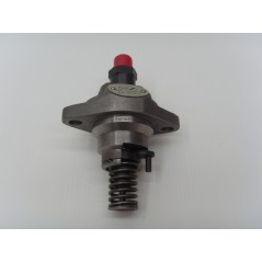 Bomba inyección motor 6LD325/326/260 LOMBARDINI 6590.136 6F.15.6590.55 | NewgardenParts.com