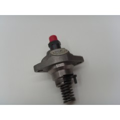 Pompa iniezione motore 6LD325/326/260 LOMBARDINI 6590.136 6F.15.6590.55 | NewgardenParts.com