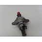 Pompa iniezione motore 6LD325/326/260 LOMBARDINI 6590.136 6F.15.6590.55