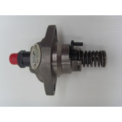 Engine injection pump 6LD325/326/260 LOMBARDINI 6590.136 6F.15.6590.55 | NewgardenParts.com