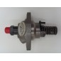 Bomba inyección motor 6LD325/326/260 LOMBARDINI 6590.136 6F.15.6590.55