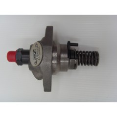 Pompa iniezione motore 6LD325/326/260 LOMBARDINI 6590.136 6F.15.6590.55 | NewgardenParts.com