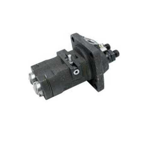 Bomba de inyección DIESEL LOMBARDINI RUGGERINI RD180 RD200 RD208 RD210 | NewgardenParts.com