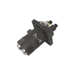 Bomba inyección motor DIESEL LOMBARDINI RUGGERINI RD220 RD270 656.19 | NewgardenParts.com