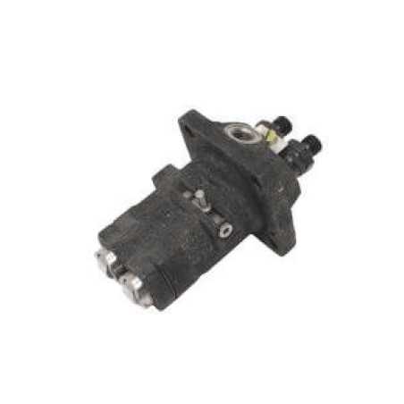 Pompe à injection DIESEL LOMBARDINI RUGGERINI RD220 RD270 656.19 | NewgardenParts.com