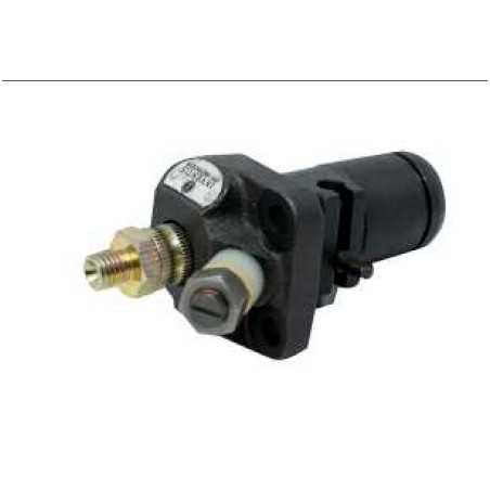 Bomba de inyección DIESEL LOMBARDINI RUGGERINI RF120 RF140 656.18 | NewgardenParts.com