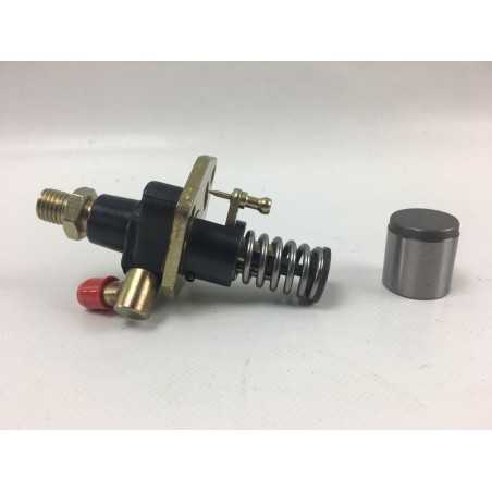 Engine injection pump motor cultivator LAUNTOP LA186 - LA188 | NewgardenParts.com