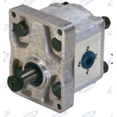 Pompa oleodinamica gruppo 2 tipo A33X AMA 04411 | NewgardenParts.com