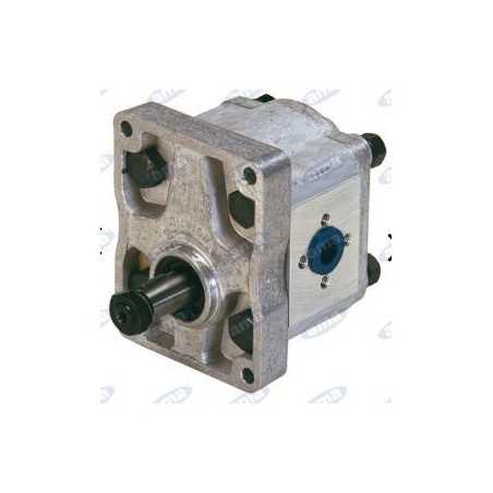 Pompa oleodinamica gruppo 2 tipo A33X AMA 04411 | NewgardenParts.com
