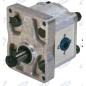 Pompa oleodinamica gruppo 2 tipo A33X AMA 04411