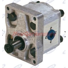 Hydraulic pump group 2 type A42X AMA 04413