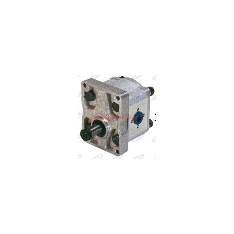 Pompa oleodinamica gruppo 2 tipo C42X AMA 04414