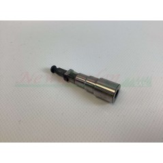 Einspritzpumpe RUGGERINI RD850 RD901/A RD900 RD901 RD920 RD950 | NewgardenParts.com
