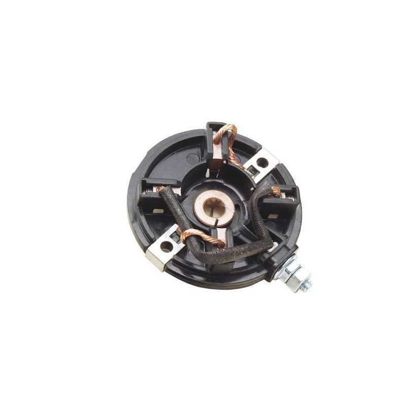 BRIGGS & STRATTON Rasentraktor Motor Anlasser Bürstenhalter