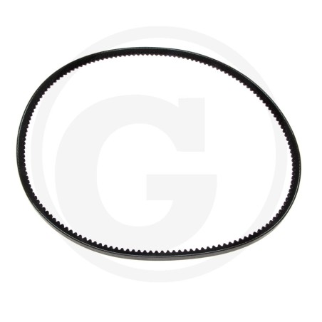 CINGHIA EX 820271 | NewgardenParts.com