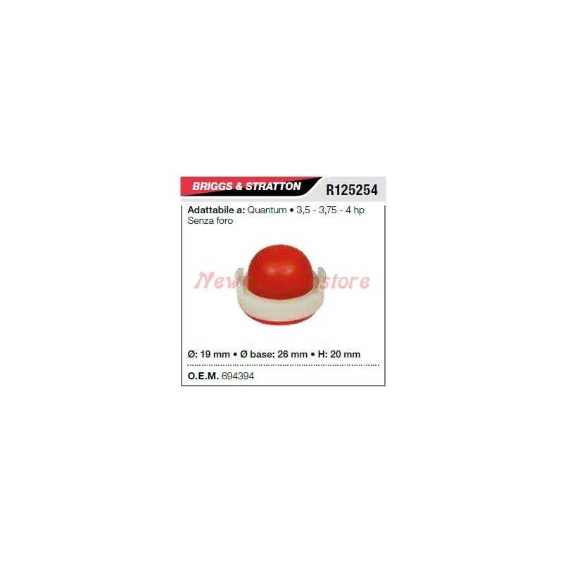 B&S Zündhütchen für Vergaser Rasenmäher 3,5 3,75 4 PS R125254