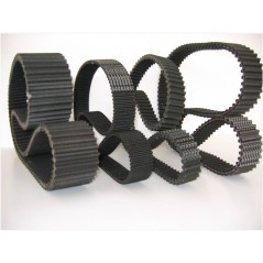 Lawn tractor belt with double teeth compatible AYP 531 00 55-65 | NewgardenParts.com