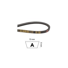 Cinghia piatto lame trattorino CASTELGARDEN TR8 TR10 TR12 35065500/0 SPA 1320 | NewgardenParts.com